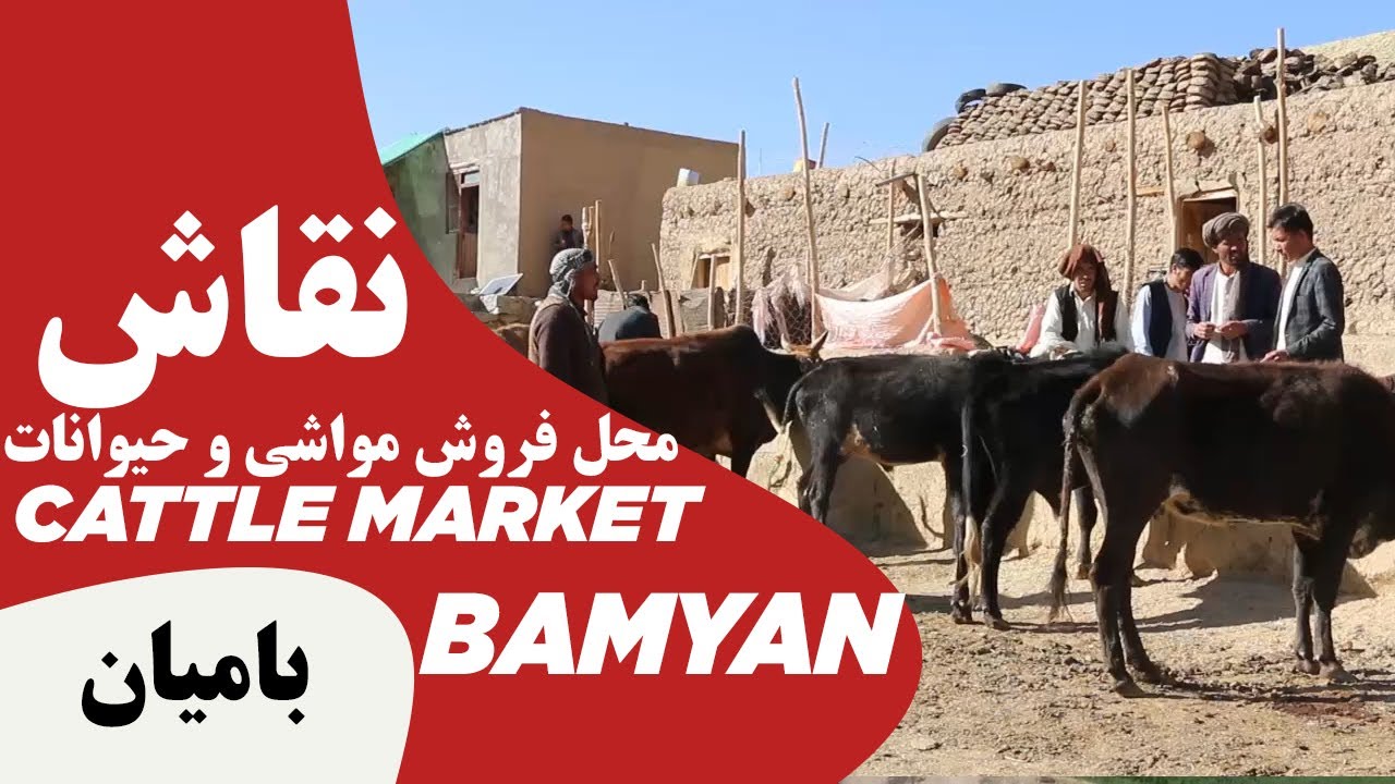 Cattle Market Bamyanنقاش(نخاس) و یا محل فروش مواشی و حیوانات