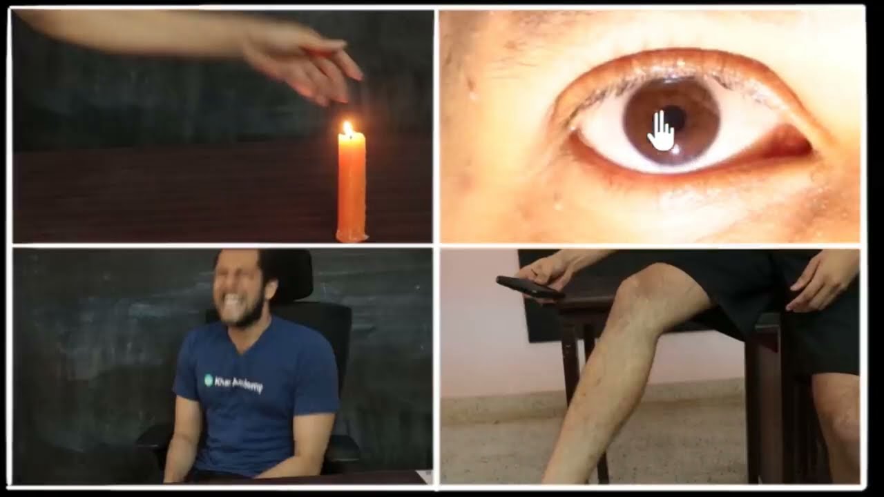 Refleks ve Refleks Arkı (Biyoloji)