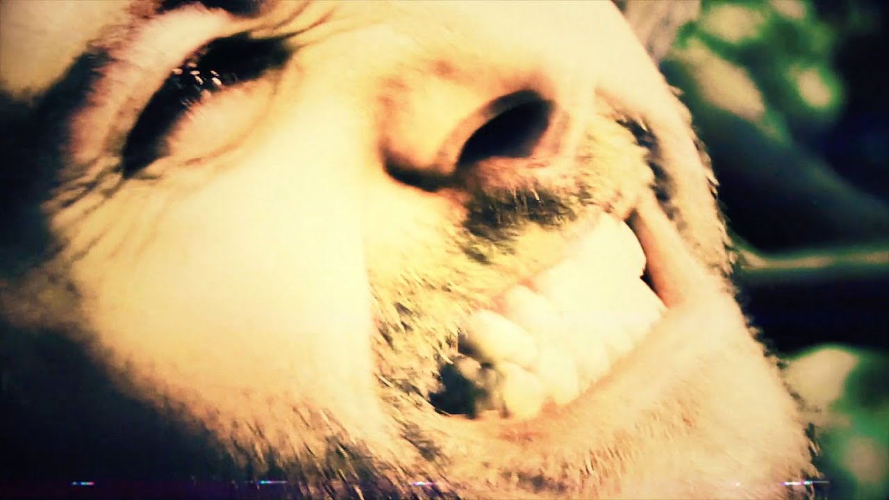 THE GURU GURU - MACHE |OFFICIAL MUSIC VIDEO|