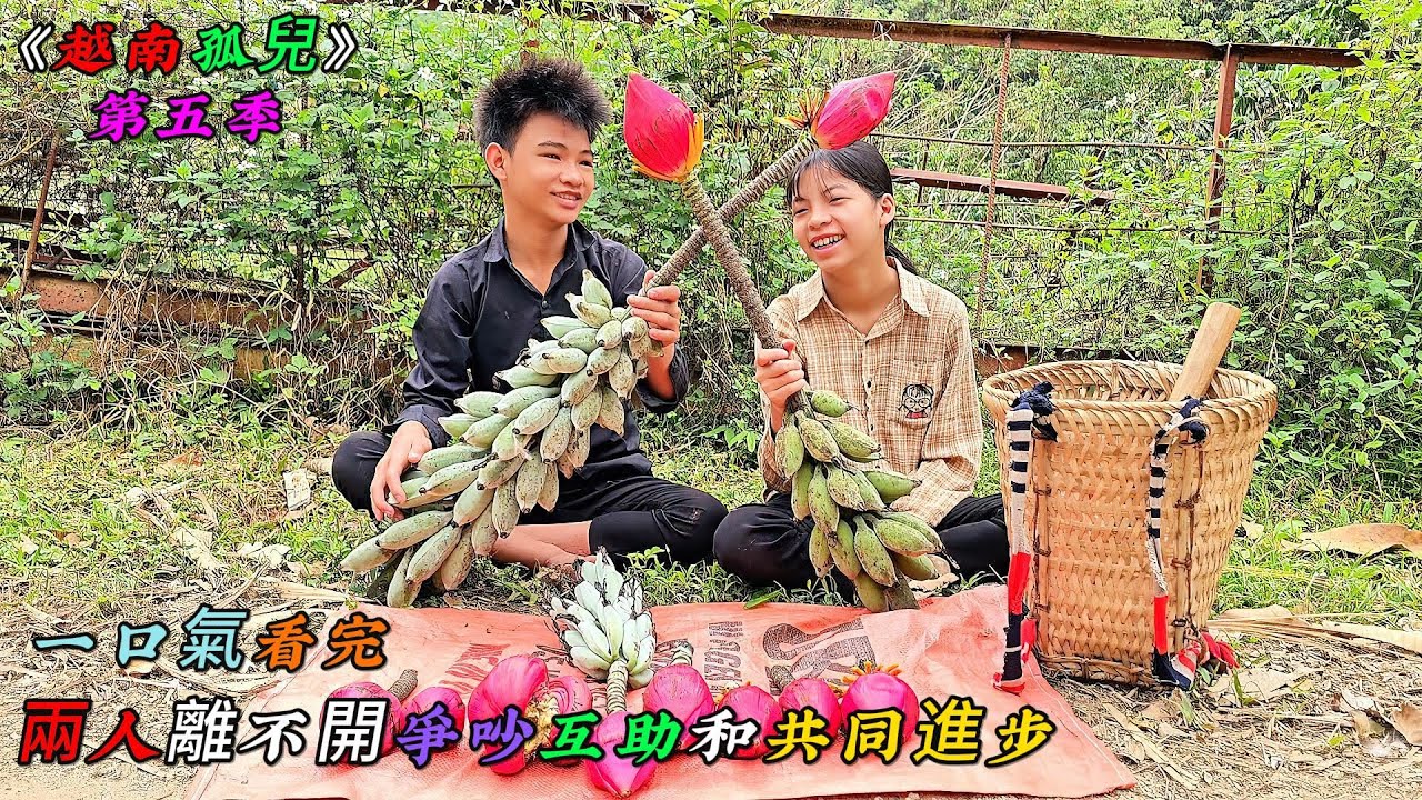 一口氣看完，兩人生活都離不開爭吵互助和共同進步《越南孤兒》第五季（14-17）