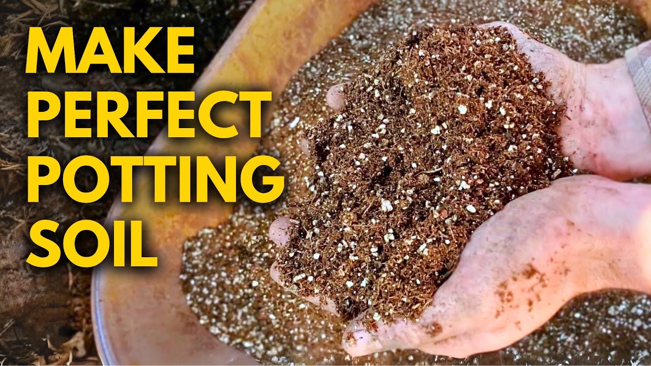 The PERFECT Potting Soil Mix for Soil Blocks & Seedling Trays