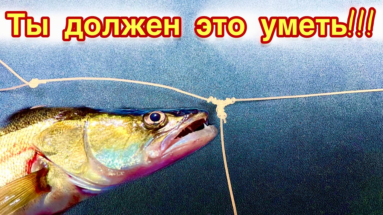 Убийца судака! Ты обязан знать этот узел!