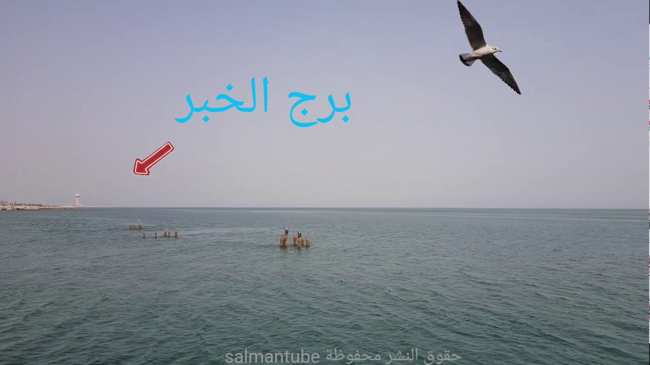 مطعم مارينا افينيو - جزيرة الدغيثر - الخبر   Marina Avenue - alkhobar