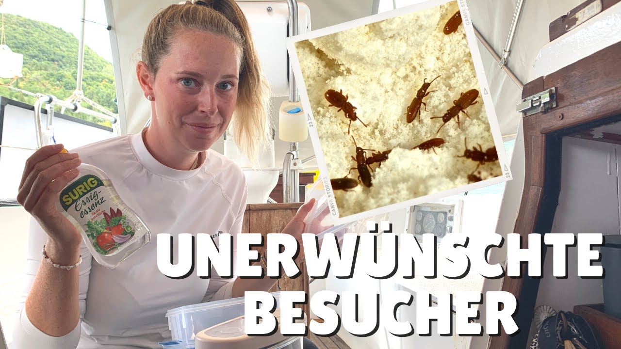 🪳 Unerwünschter Besuch an Bord [#89]