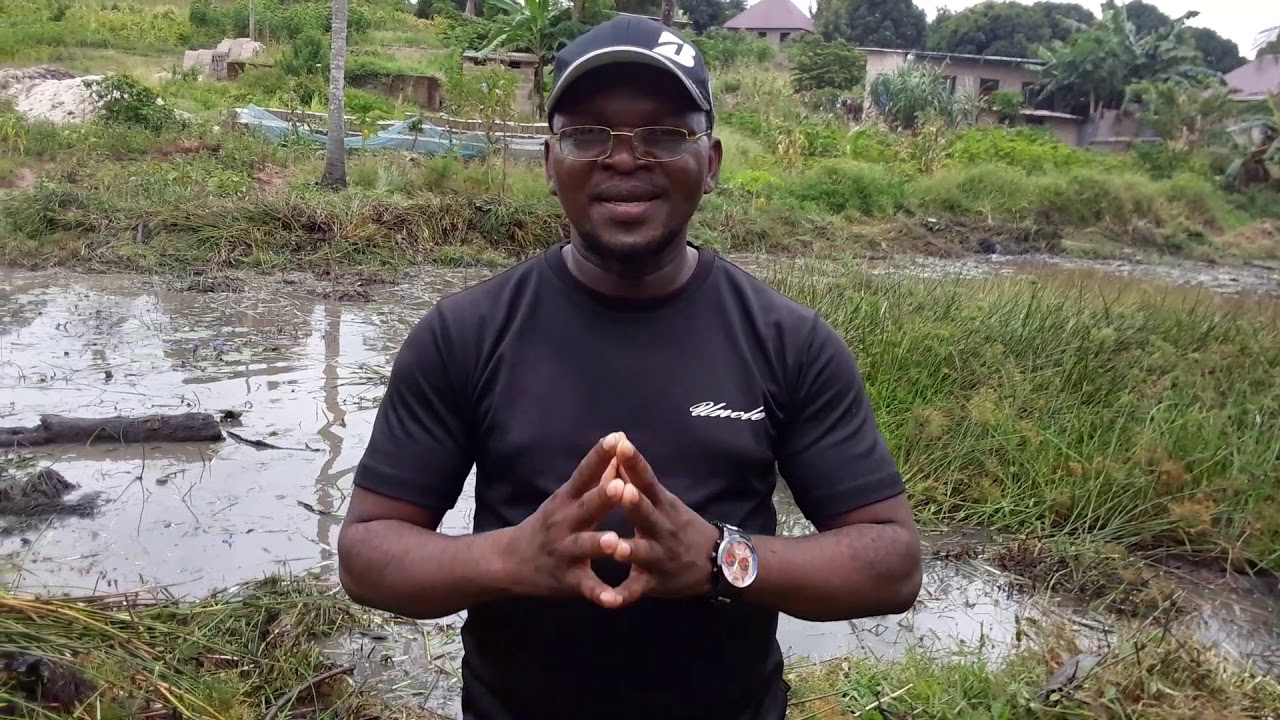 SIR WILSON UFUGAJI SAMAKI BWAWA LA ASILI KWA UFUGAJI WA KISASA.