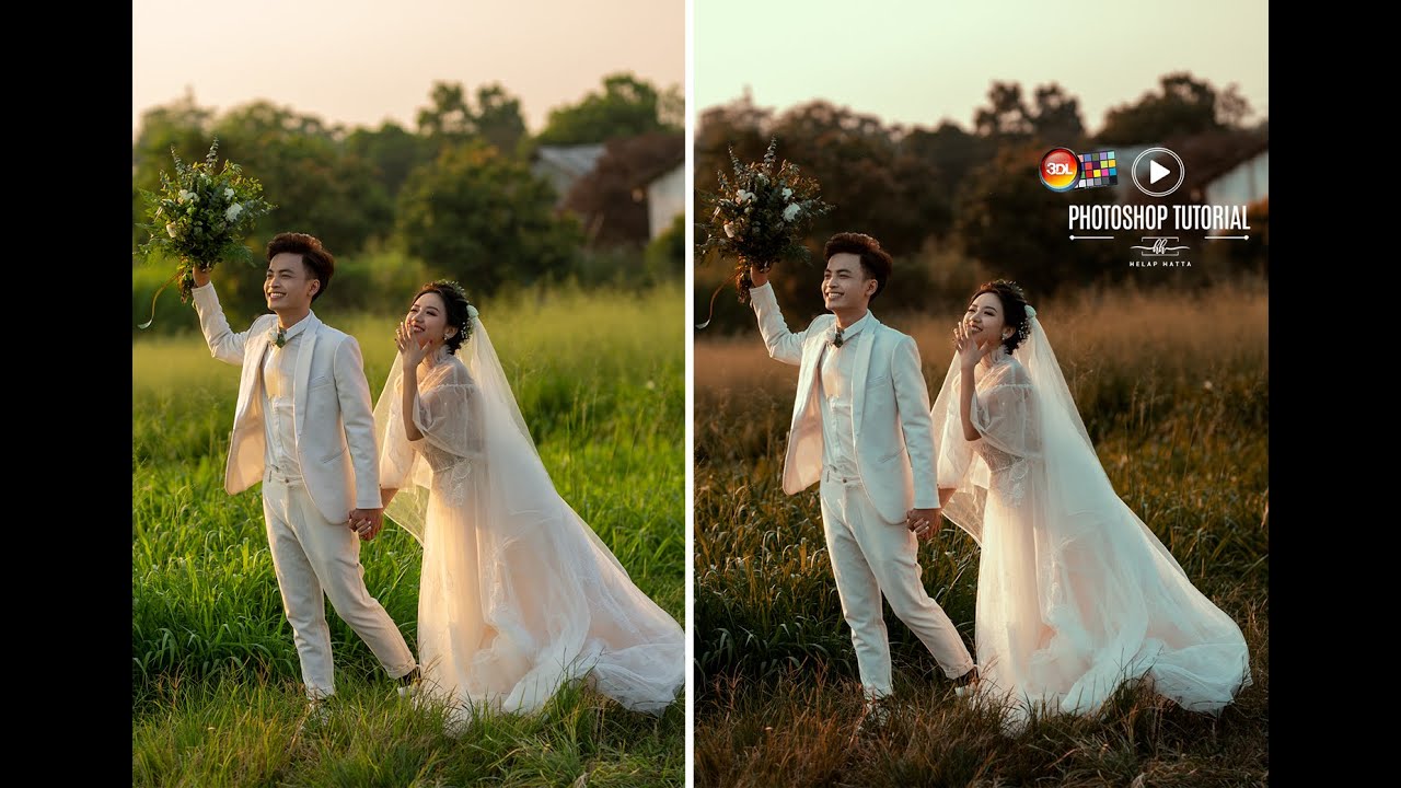 3D LUT TUTORIAL || Simple Make Tone Prewed
