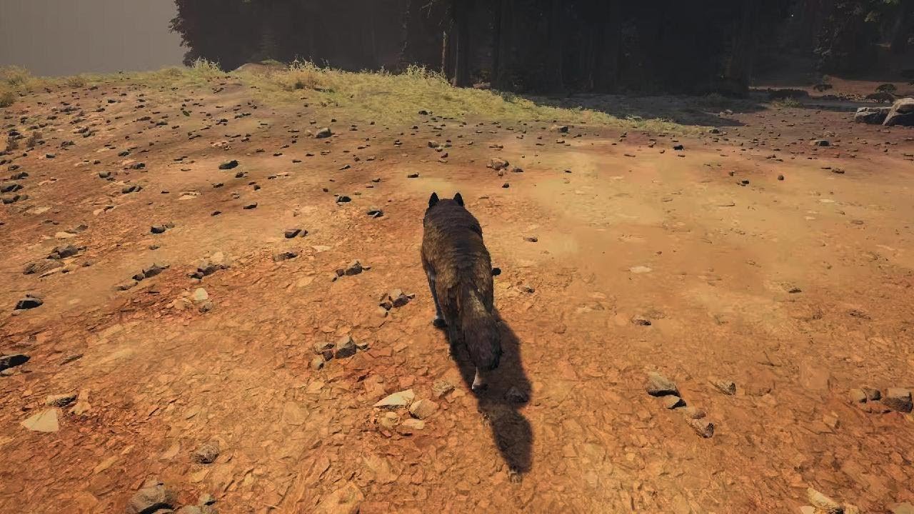Wolf