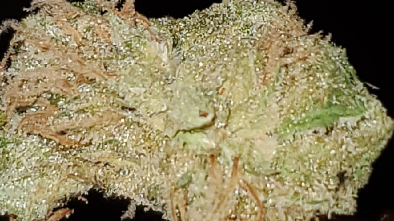 CASEY JONES #4 STRAIN WAKE AND BAKE STYLE