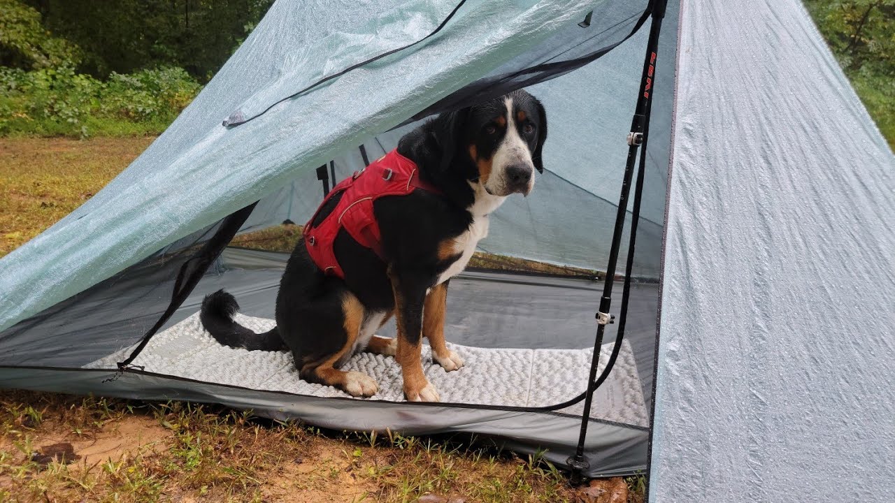 Durston X-Mid Pro 2 and Zpacks DupleXL Comparison- With a Dog