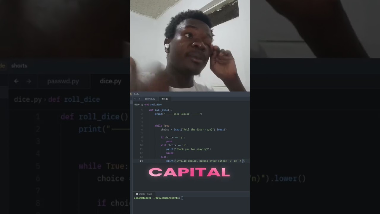 Simple dice roller in python 