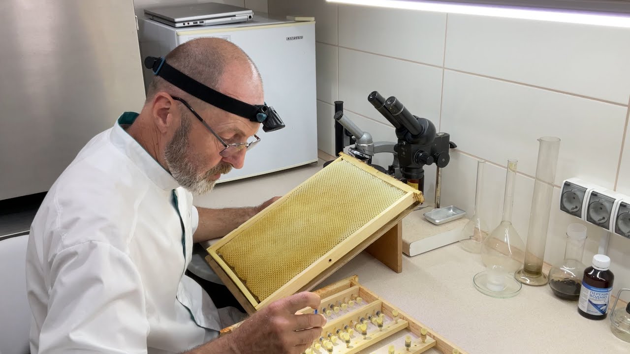Прививка - що потрібно знати. Beekeeping (27.06.2025 р.)