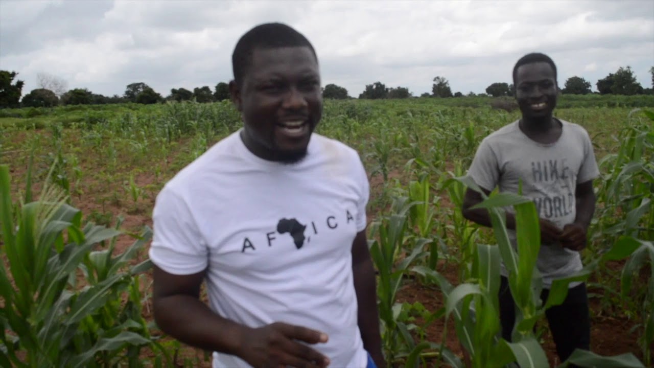 Free Lands For  Farming from this Village In Ghana?