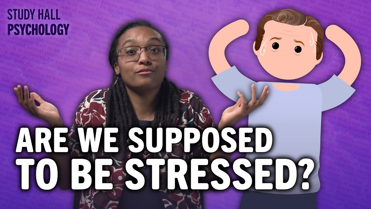 The Psychology of Stress | Introduction to Psychology 17 of 30 | Study Hall