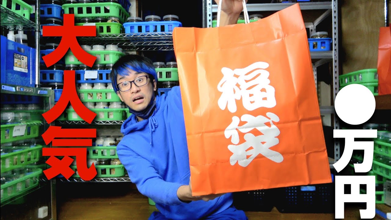 売り切れ必須の福袋を開封したら大絶叫レベルだった