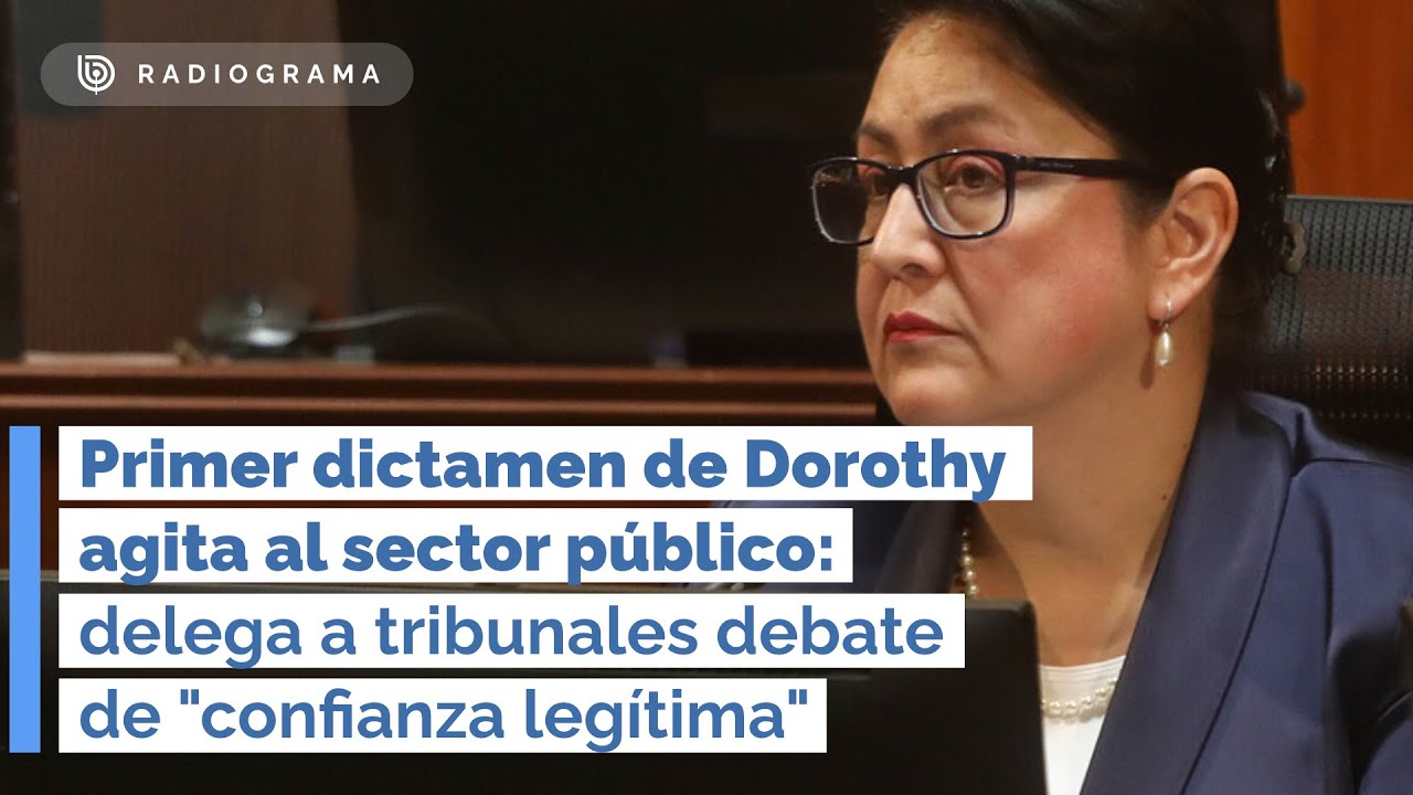 Dictamen de Dorothy Pérez agita a sector público: delega a tribunales debate de 