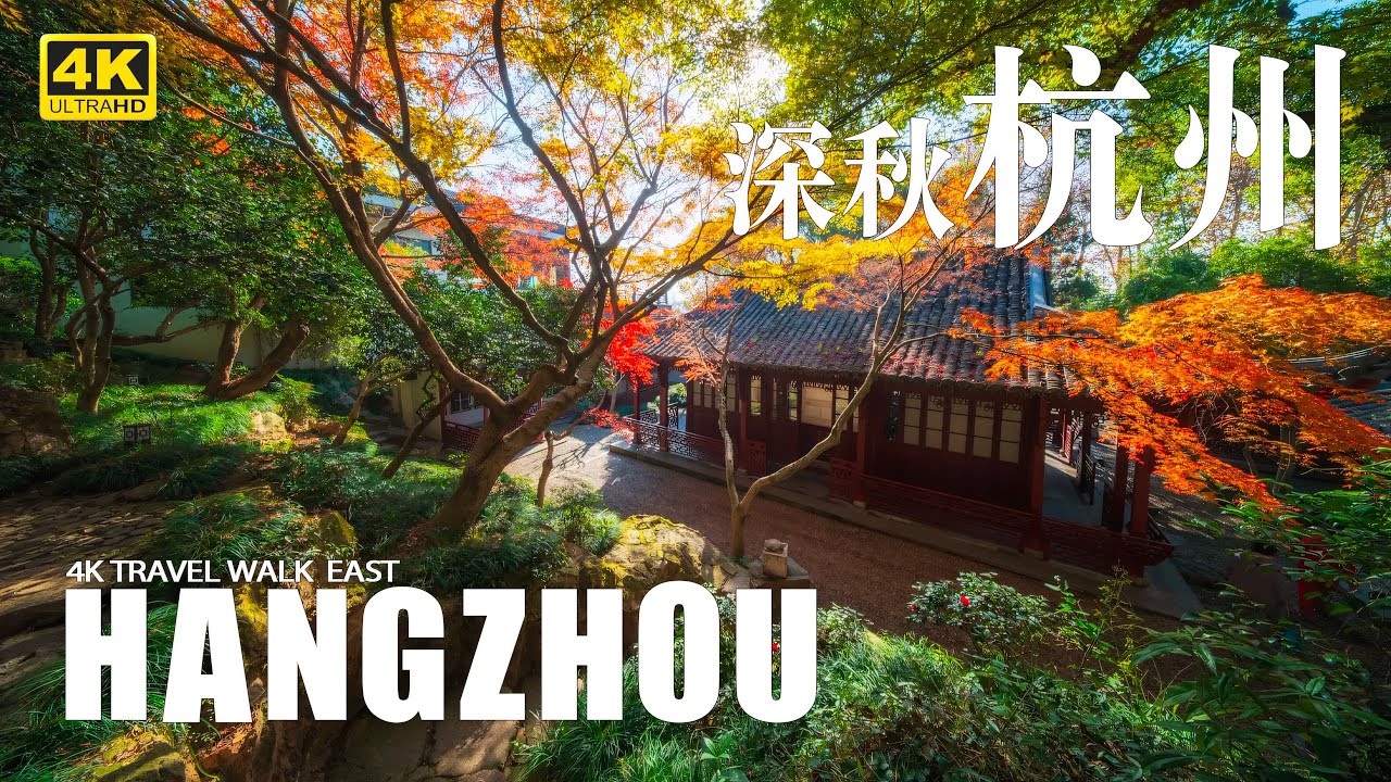 【🇨🇳杭州】西湖秋波起，枫叶醉人红，桂香浮动、枫叶如火，满城尽带黄金甲 ，深秋杭州藏不住的江南温柔！｜西湖｜灵隐寺｜断桥｜深秋｜枫叶｜