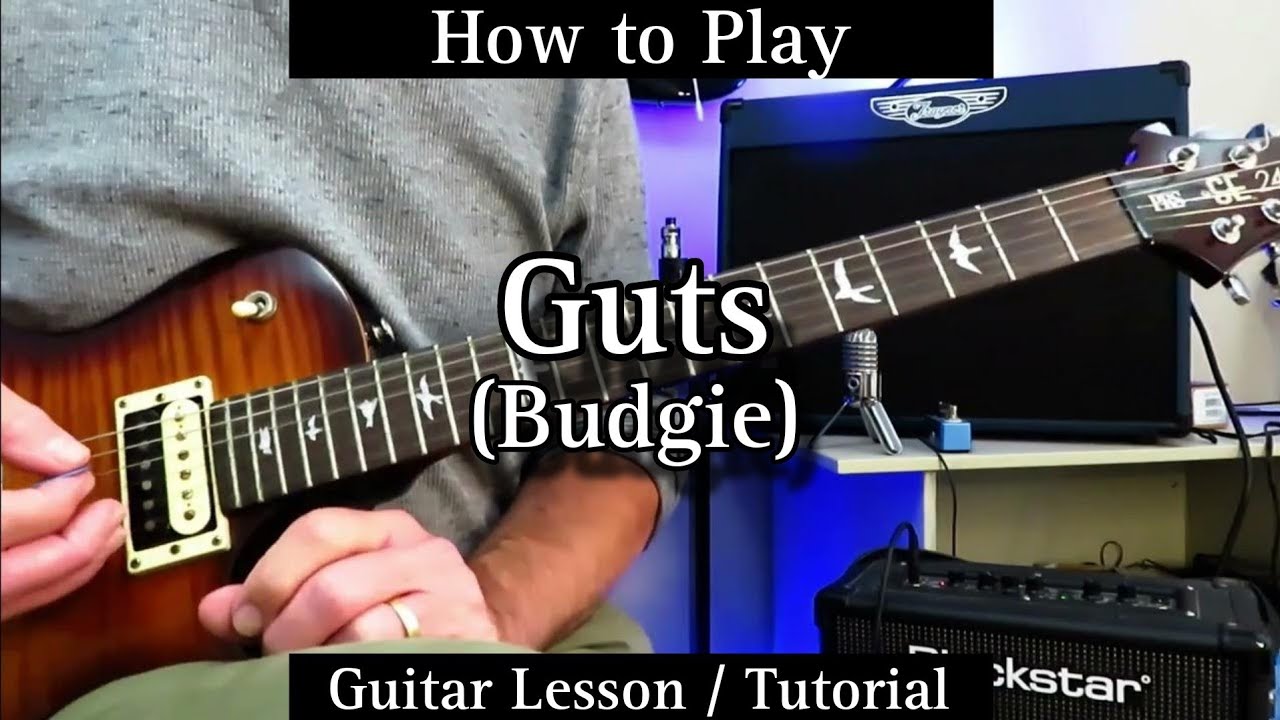 How to Play GUTS - Budgie. Guitar Lesson / Tutorial