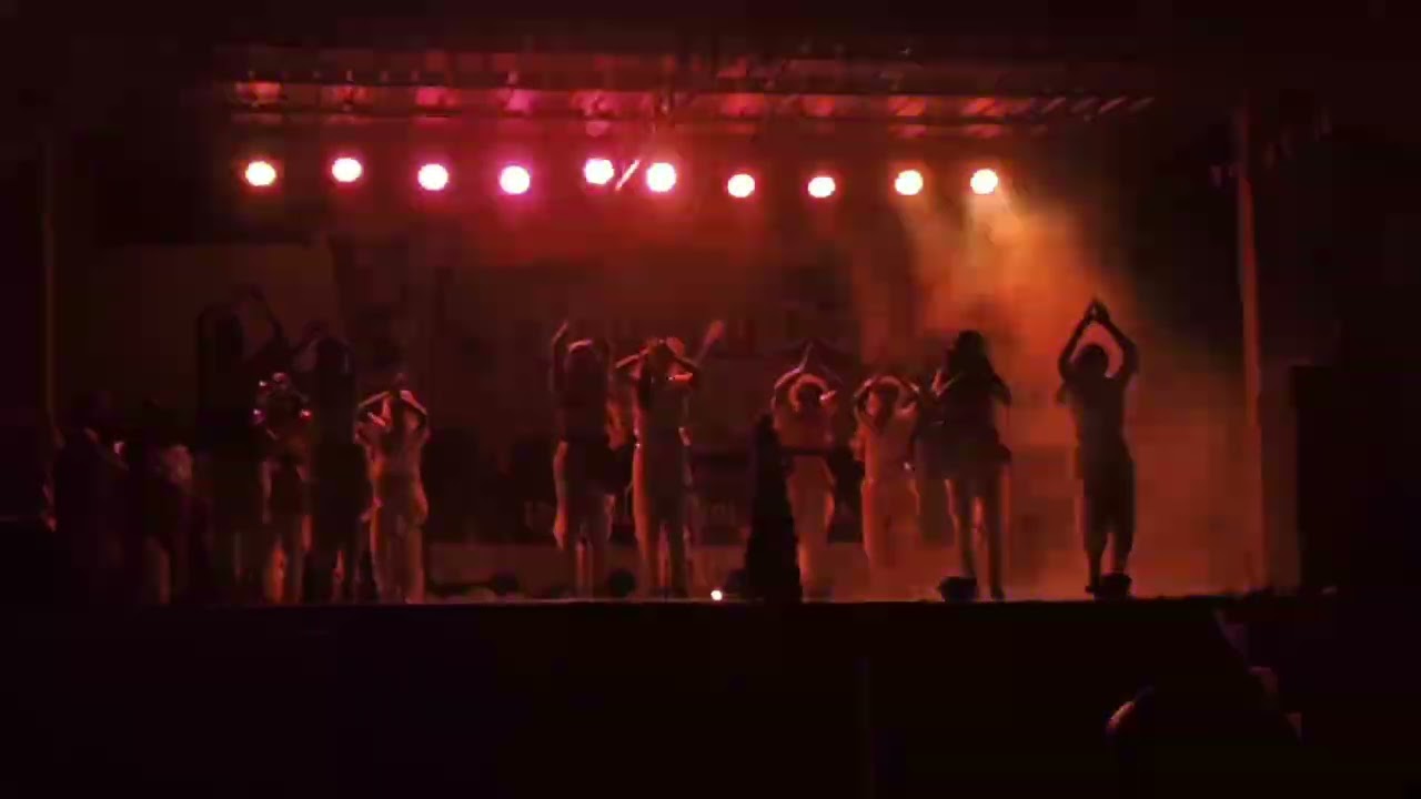 my village school annual day