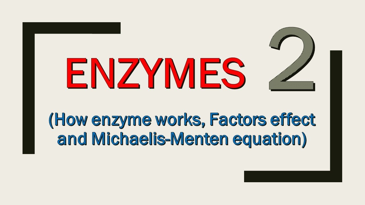 Enzymes (How enzymes work and Michaelis equation; Part 2/4 - Lippincott's) {الأنزيمات الجزء الثاني}