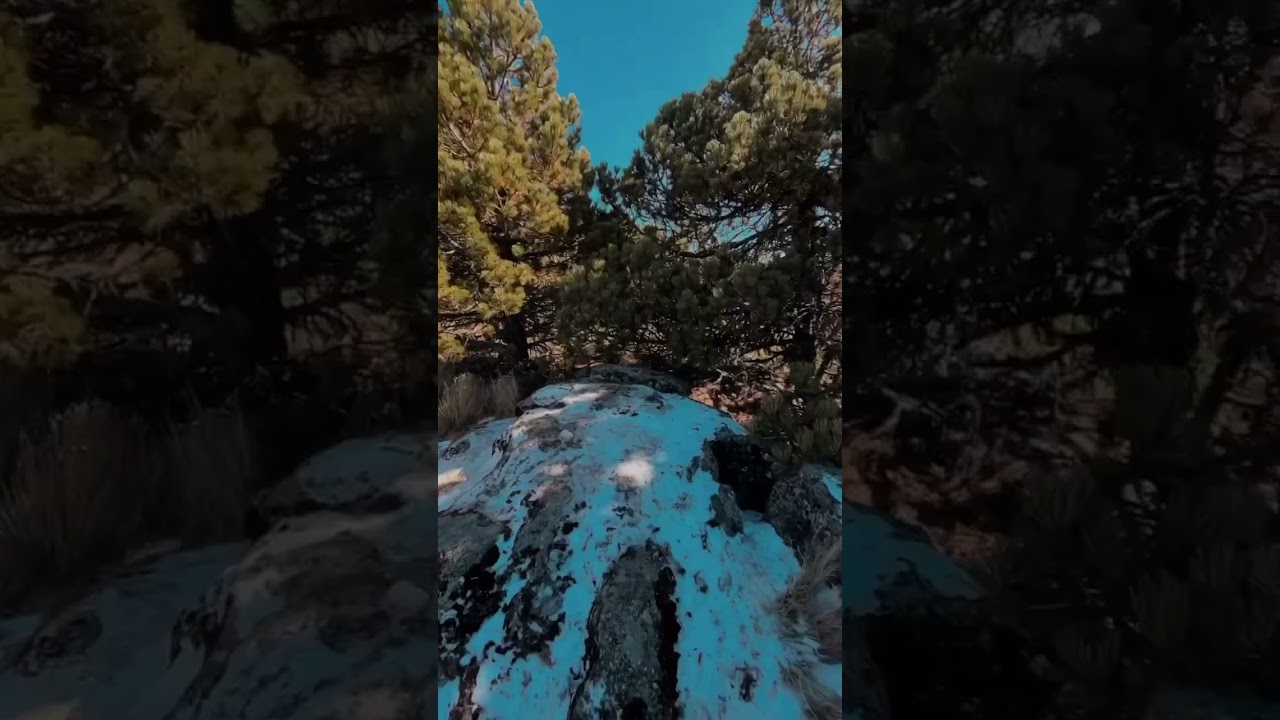 Cofre de Perote, Veracruz. 
