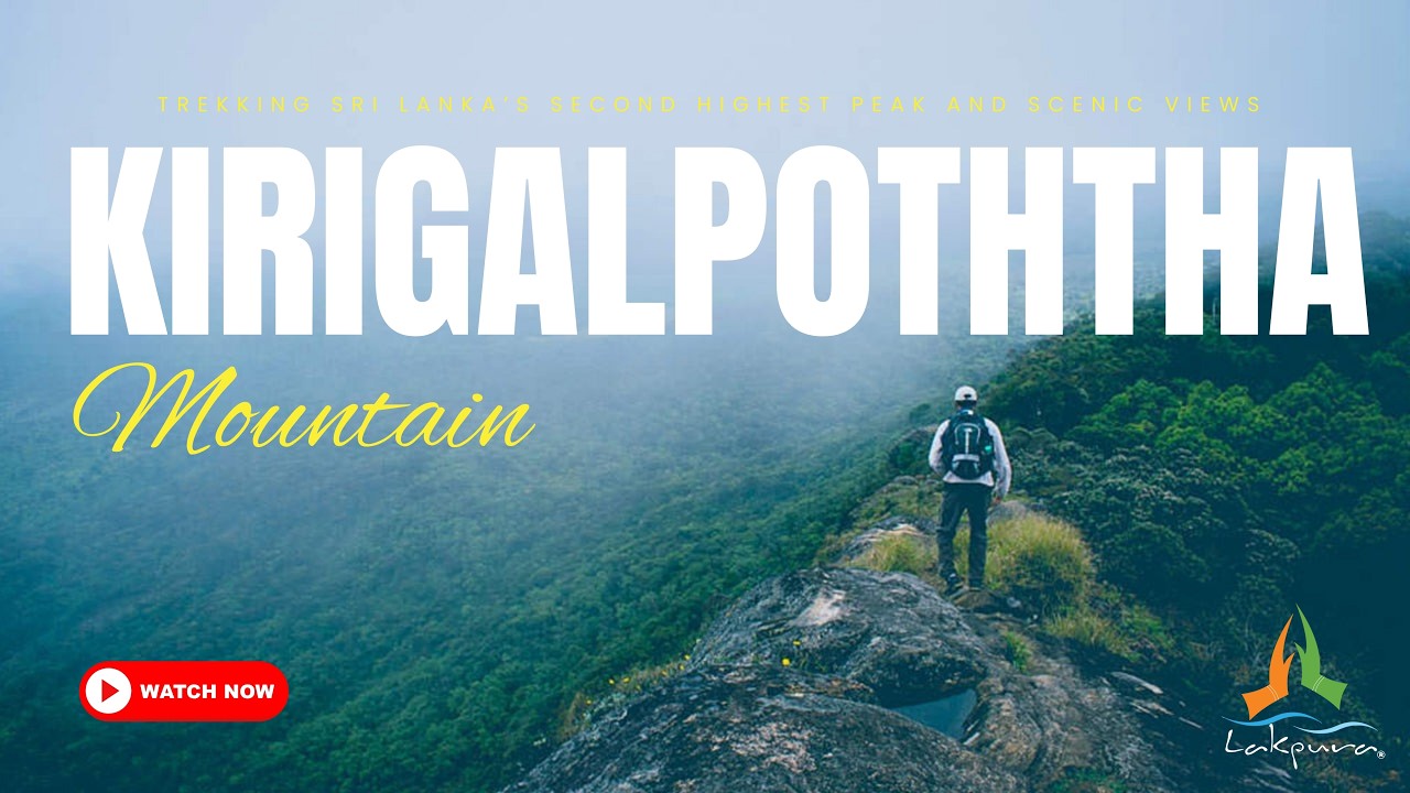 Kirigalpoththa Mountain | Trekking Sri Lanka’s Second Highest Peak and Scenic Views #hortonplains