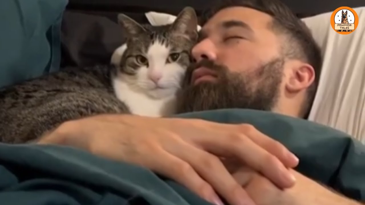 I Rescued a Stray Kitten…But He Stole My Husband Instead