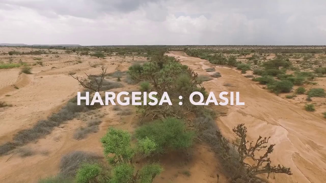 The Qasil Harvest - Hargeisa