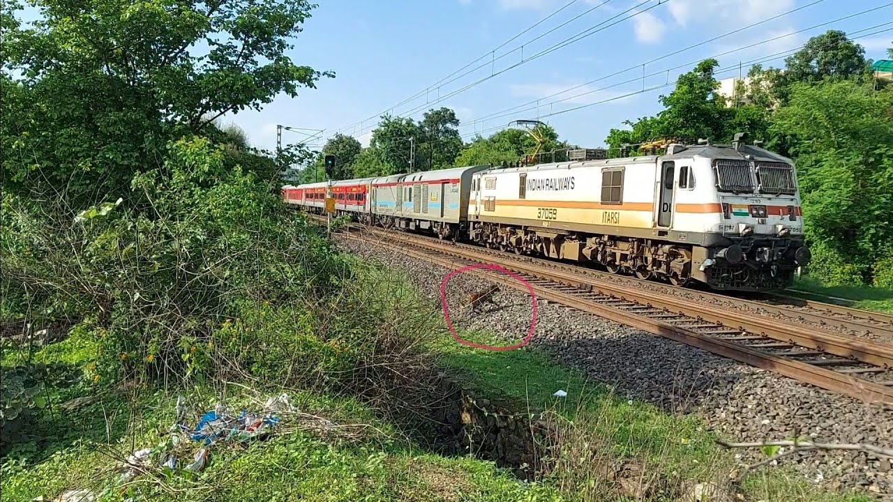 Train Accident || Somnath Express Vs Dog