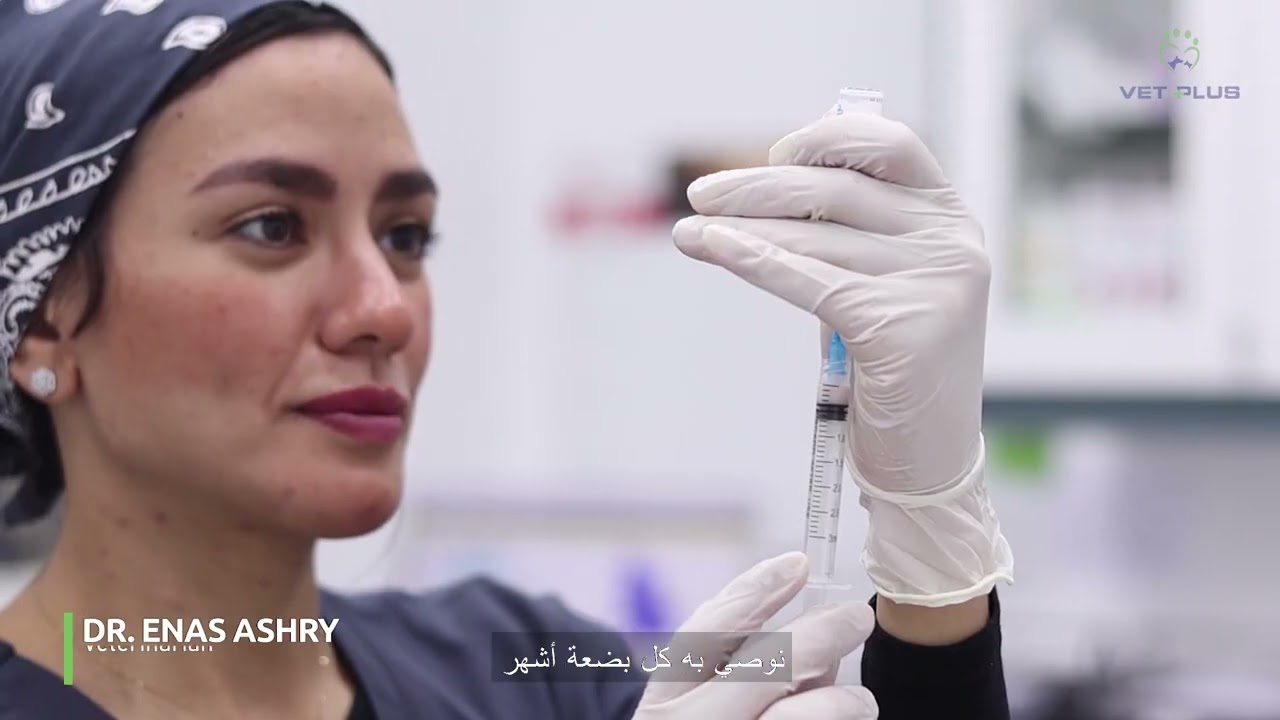 Vet Plus Documentary | Dubai & Sharjah Multi- Speciality Hospital