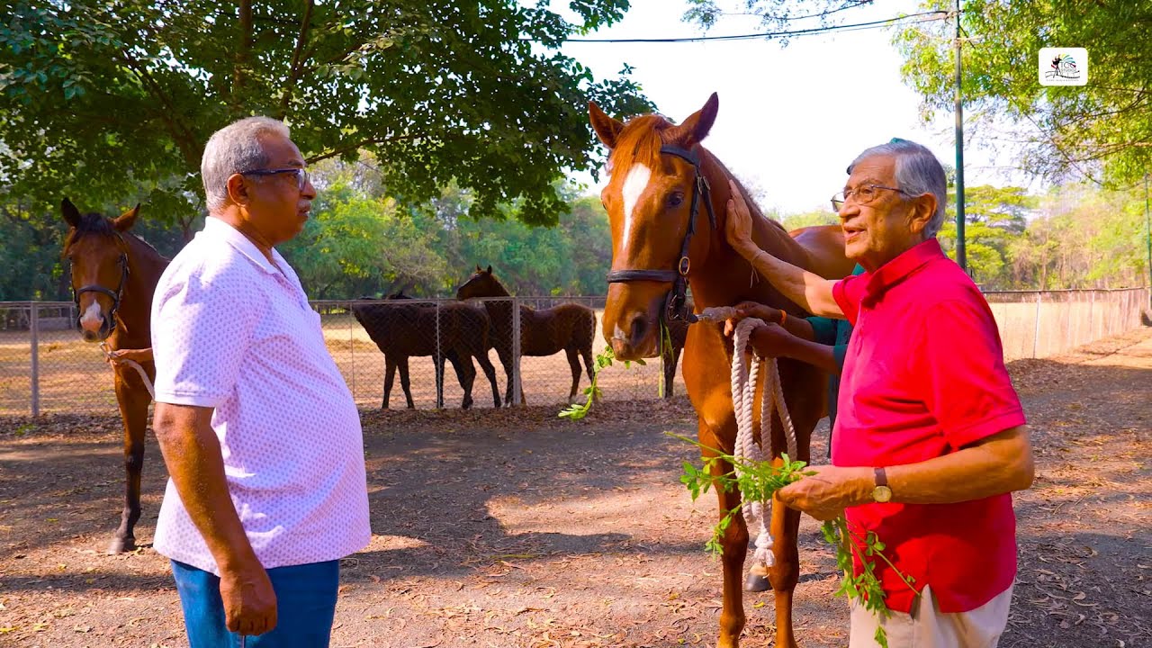 YERAVADA STUD FARM | Meet the Team