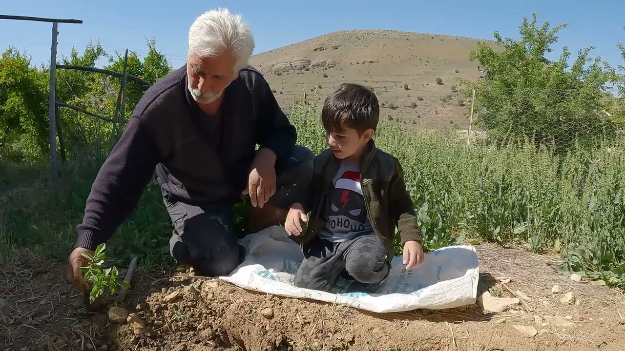 Dede Toruna Çiftçilik Öğretiyor | Sebze Fidesi Nasıl Dikilir