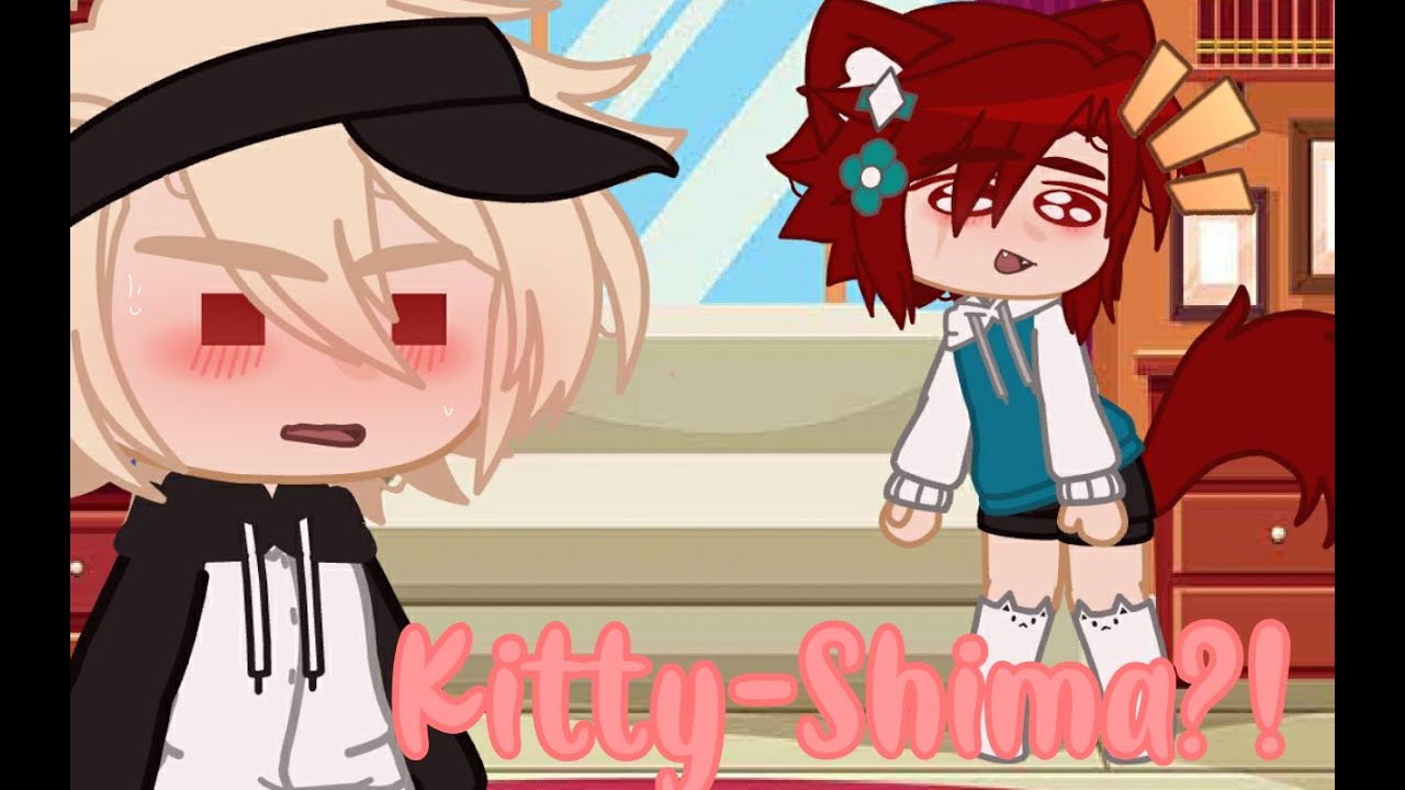 || Kitty-shima?! || Kiribaku || AU || Pt. 2 ||