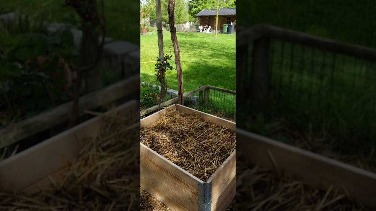 Co'Cootjes Strobalen Moestuin Holland voorjaar 2021