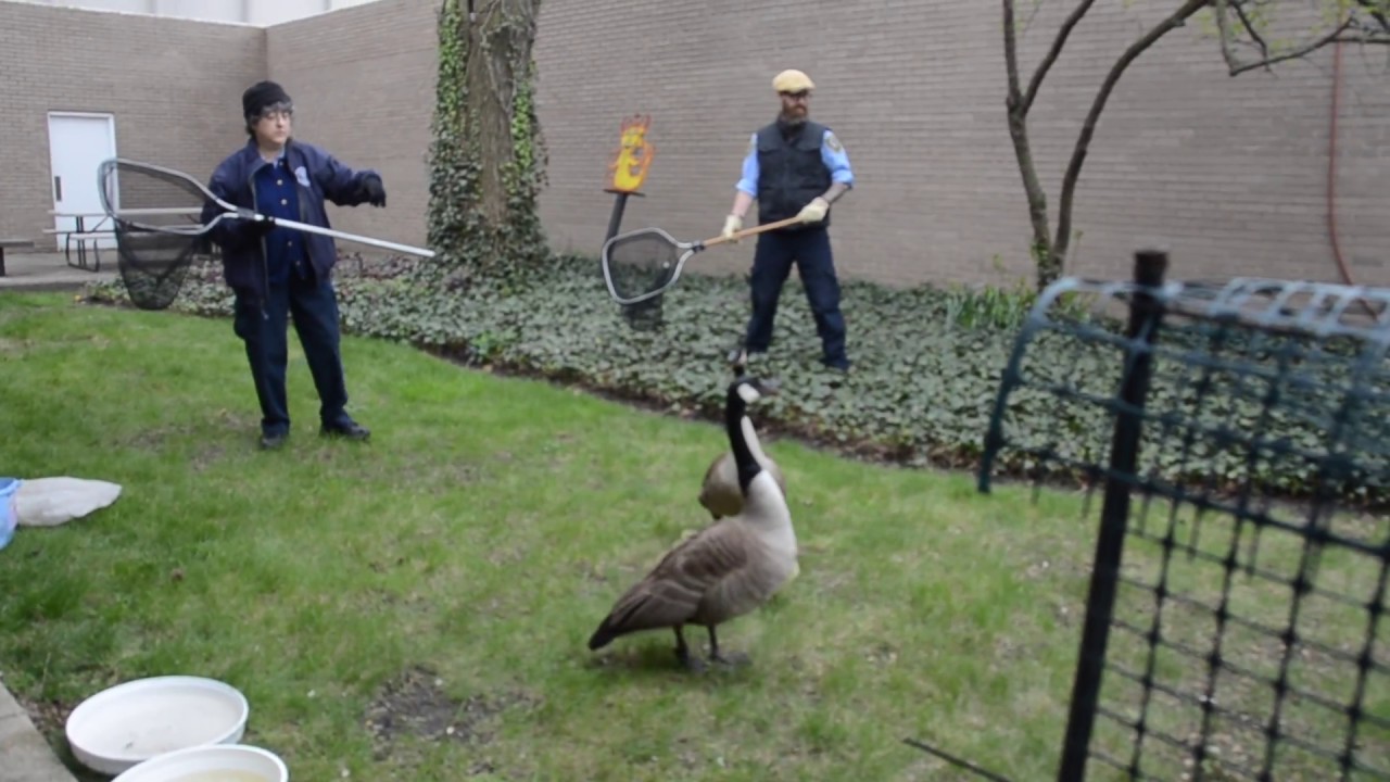 Skokie Animal Control Saves the Day