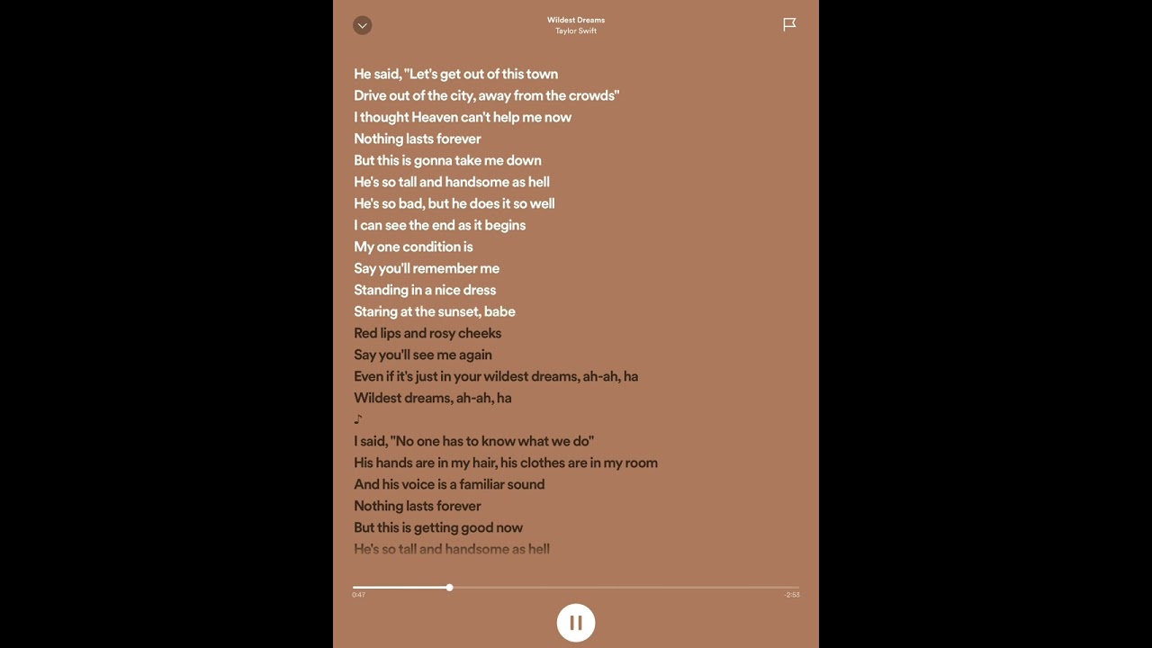 wildest dreams - taylor swift sped up 