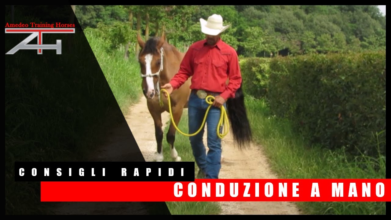 I CONSIGLI RAPIDI - Conduzione a mano