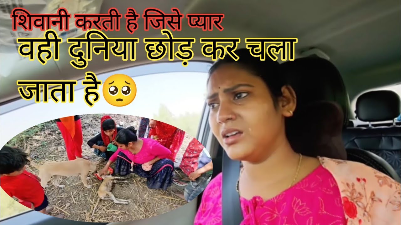 वह क्यों छोड़ कर चला गया 🥺#shivanikumariofficial #shivanioffical #ariyari #Suman ki rasoi