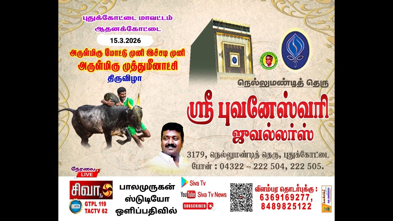 #புதுக்கோட்டைஜல்லிக்கட்டு   #ஆதனக்கோட்டை ஜல்லிக்கட்டு உங்கள் #சிவாடிவியில்  உலகம் முழுவதும்