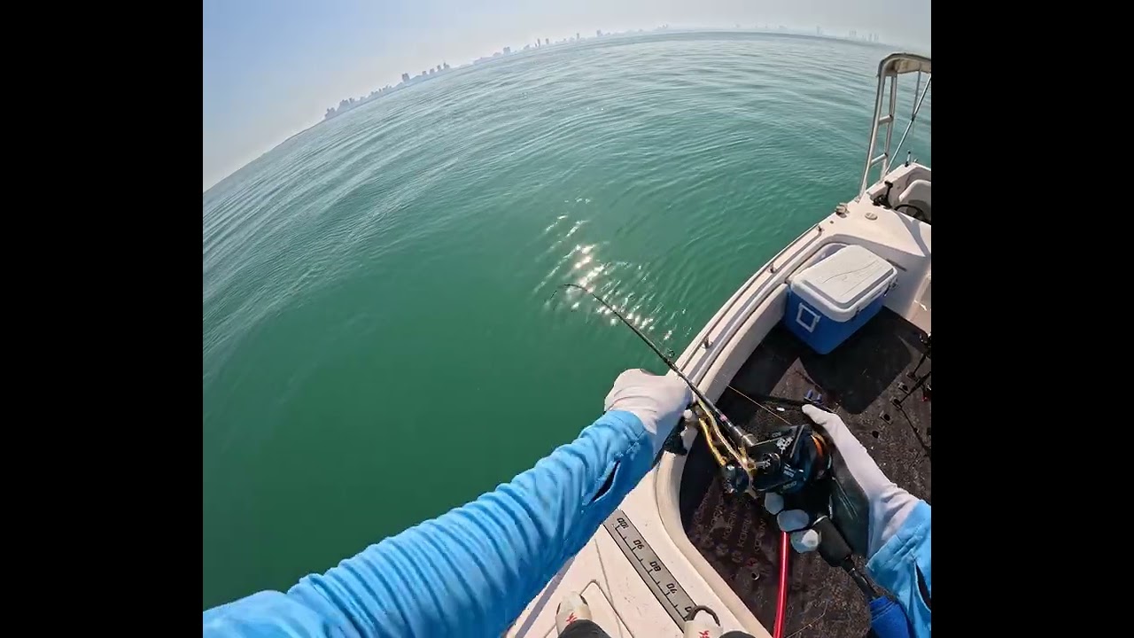 نقرور الركسة الشمالية في الكويت 30/10/2025 kuwait jiging