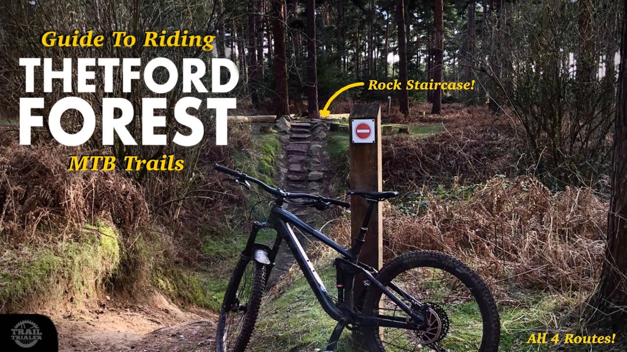 A Guide To Riding Thetford Forest MTB Trails