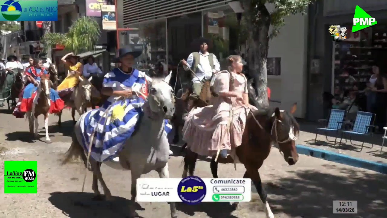 en vivo Desfile Fiesta de la patria Gaucha 2026
