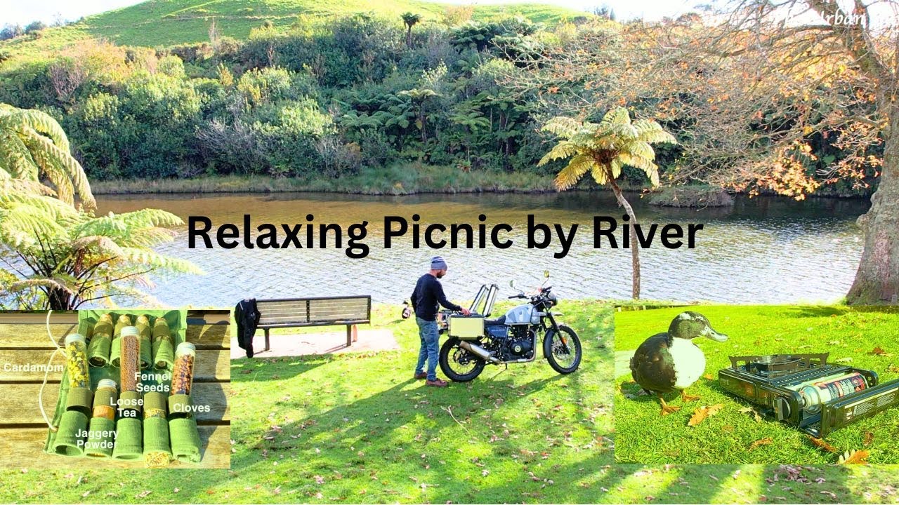Relaxing Solo Picnic by River & Mountains - Naughty Ducks joined me