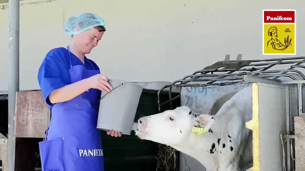 Drumul Painii Panifcom