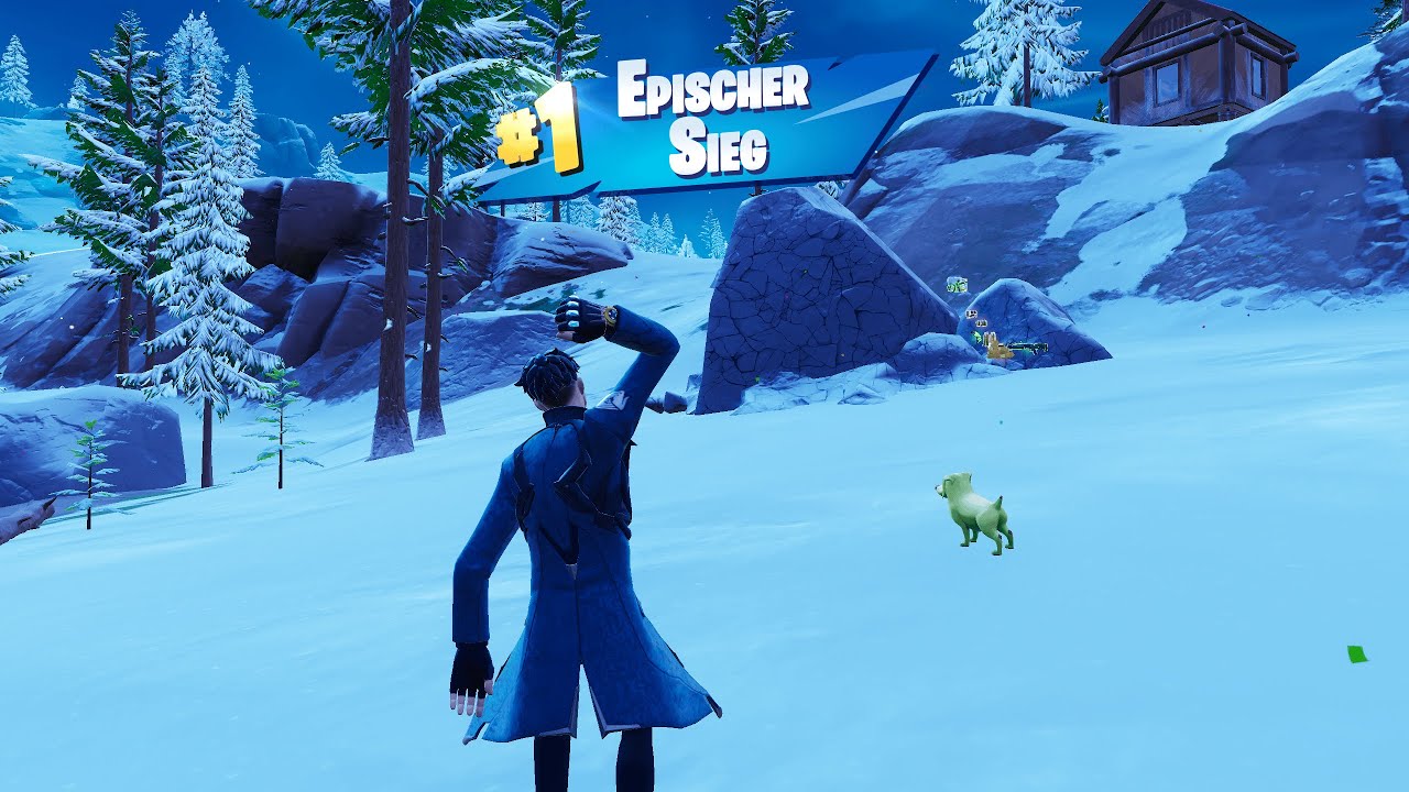 Fortnite Zero Build solo vs squad 22 Kills
