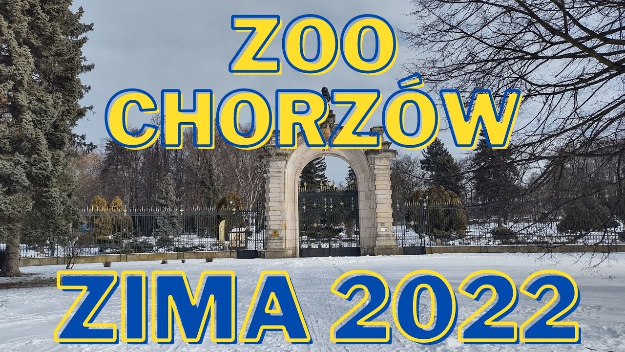 ZOO Chorzów - zima 2022