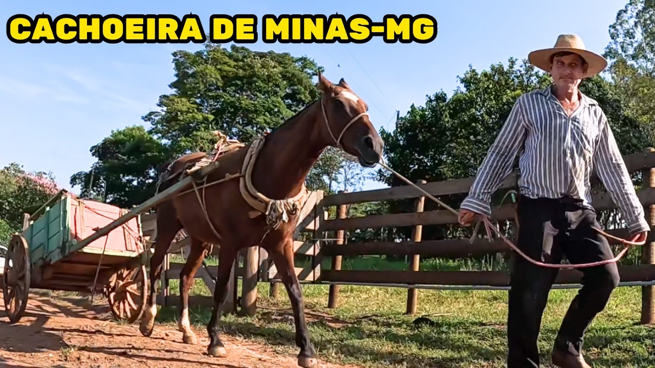SEU RICARDO CARREIRO E SUA LIDA NA ROÇA