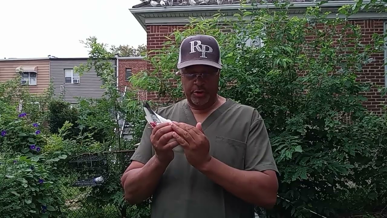 TOSSING TIPPLERS  MAMARONECK NEW YORK TOSS