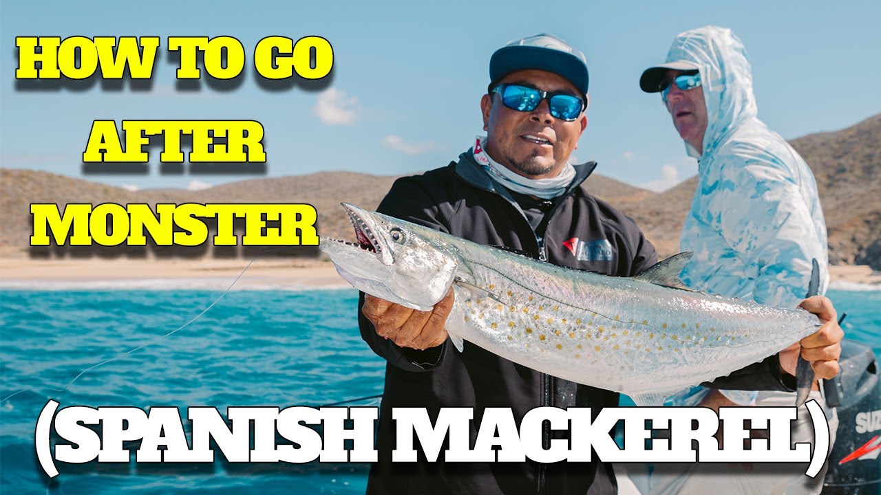 Inshore Fishing in Cabo San Lucas: Flies, Top Water Jigs, and Big Sierras!