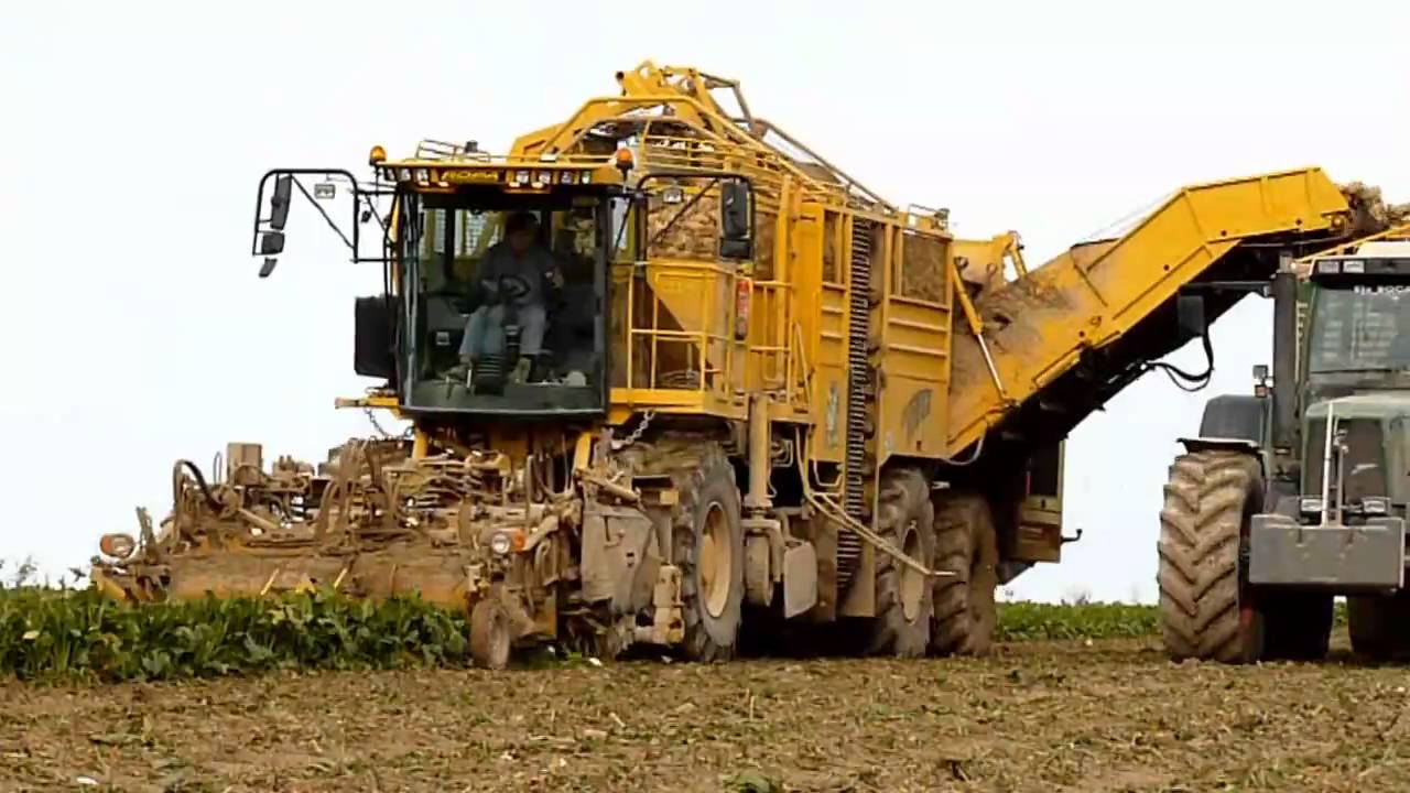 Ropa Euro Tiger V8-3