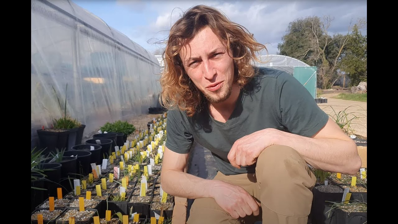 JohanWilm Geophytes Take1